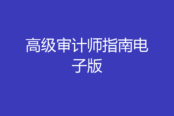 高级审计师指南电子版