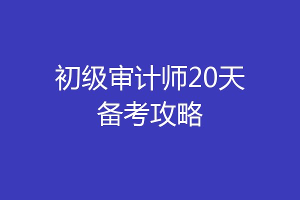 初级审计师20天备考攻略