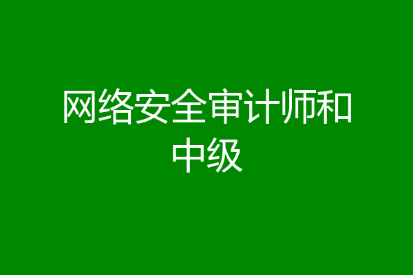 网络安全审计师和中级