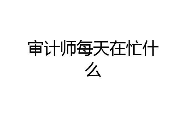 审计师每天在忙什么
