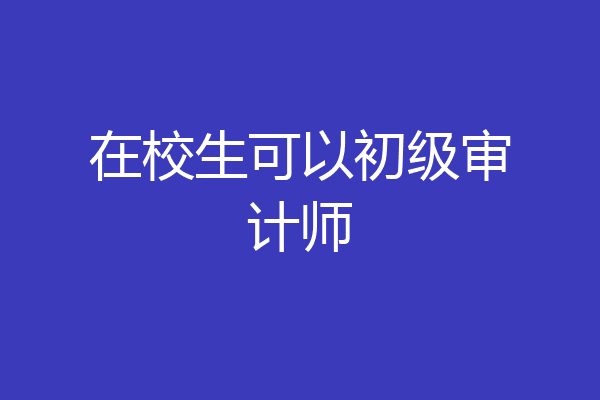 在校生可以初级审计师