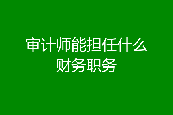 审计师能担任什么财务职务