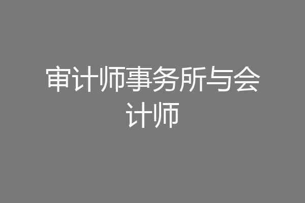 审计师事务所与会计师