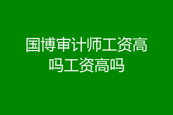 国博审计师工资高吗工资高吗