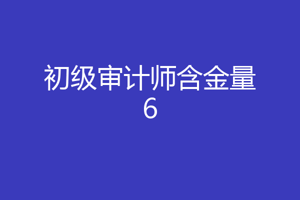 初级审计师含金量6