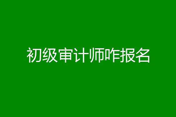 初级审计师咋报名