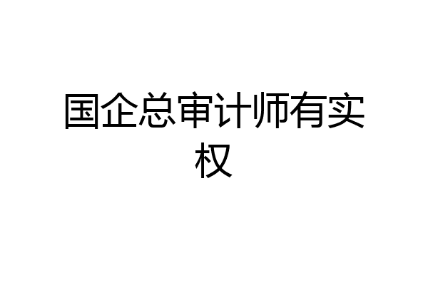 国企总审计师有实权