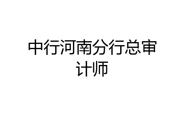 中行河南分行总审计师