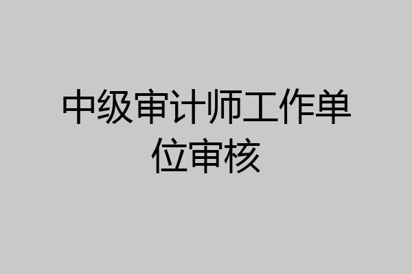 中级审计师工作单位审核
