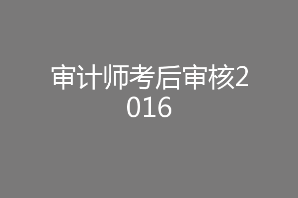 审计师考后审核2016