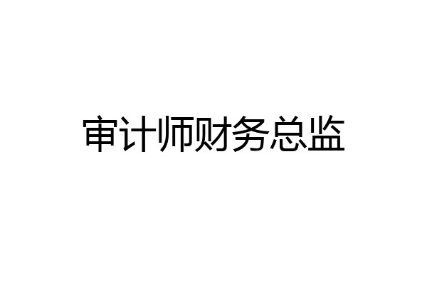 审计师财务总监