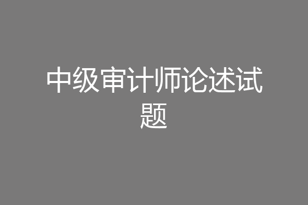 中级审计师论述试题