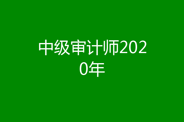 中级审计师2020年