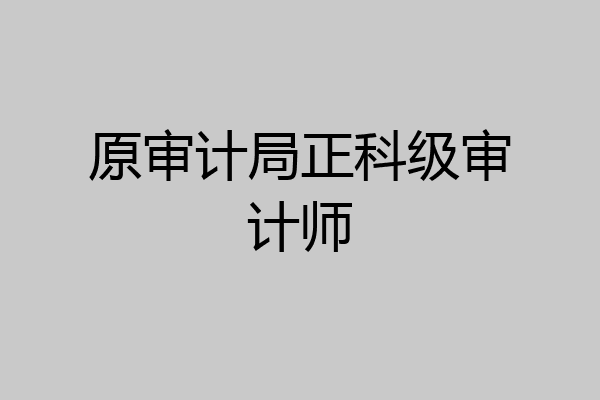 原审计局正科级审计师