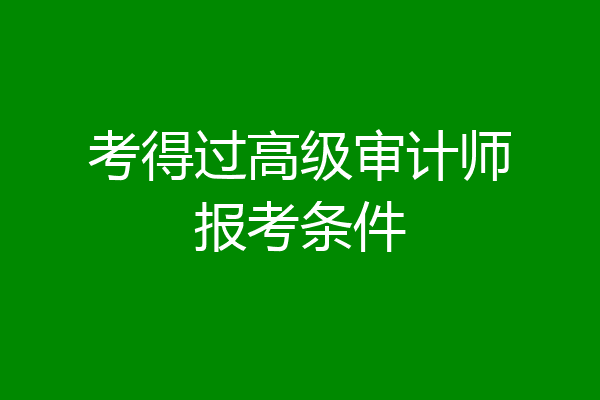 考得过高级审计师报考条件