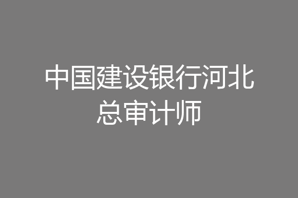 中国建设银行河北总审计师
