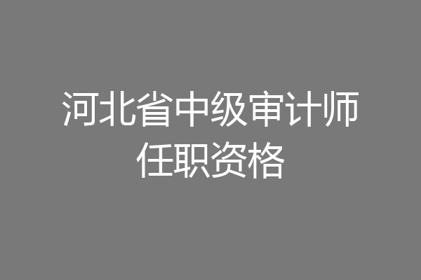 河北省中级审计师任职资格