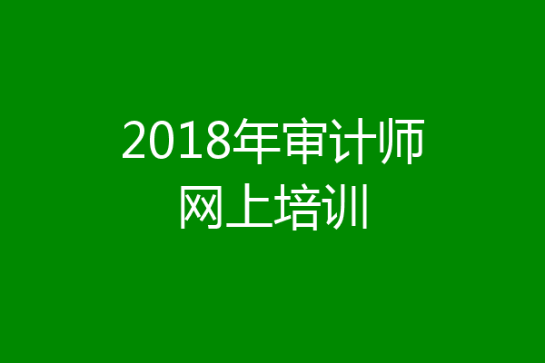 2018年审计师网上培训