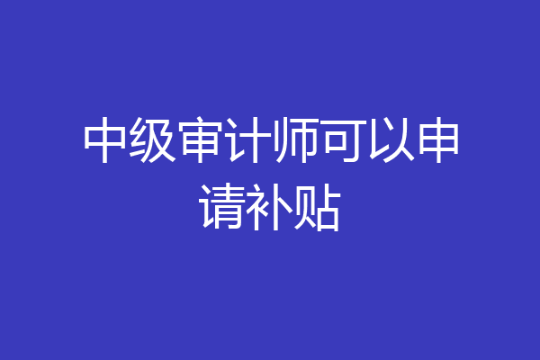 中级审计师可以申请补贴
