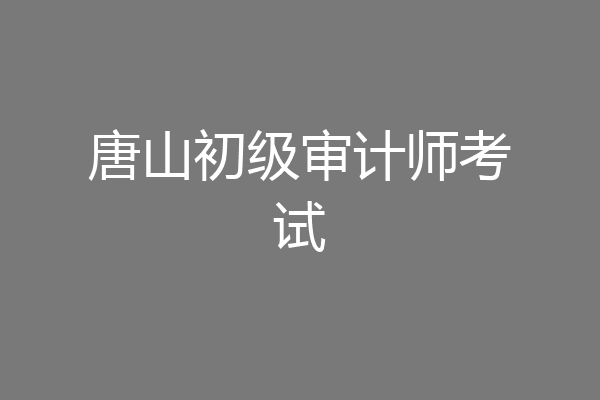 唐山初级审计师考试