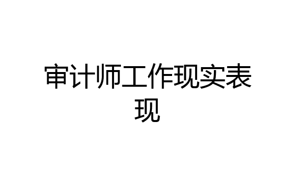 审计师工作现实表现