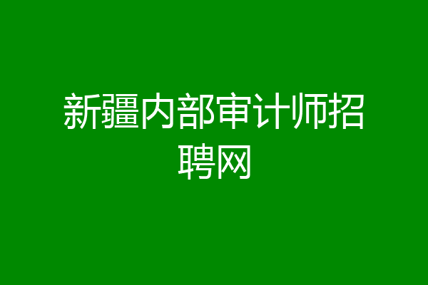 新疆内部审计师招聘网