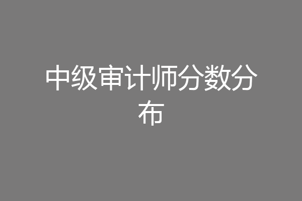 中级审计师分数分布