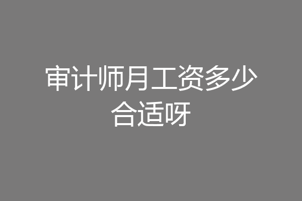 审计师月工资多少合适呀