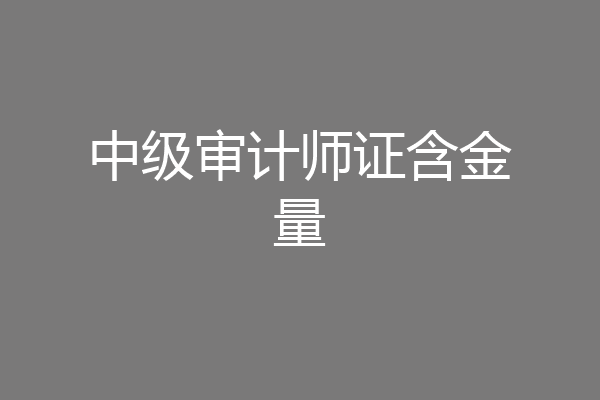 中级审计师证含金量