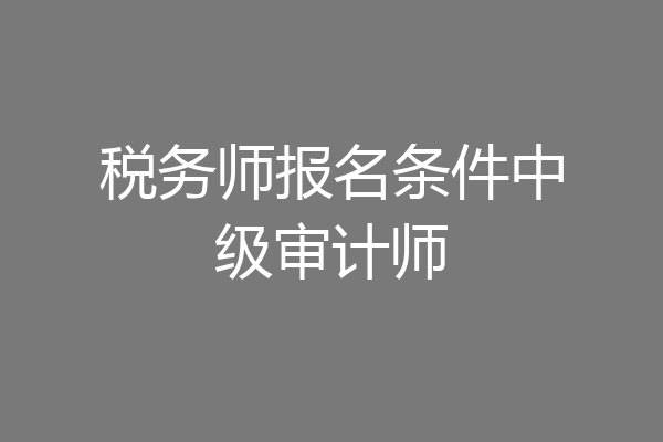 税务师报名条件中级审计师