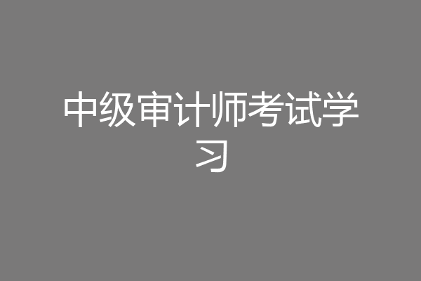 中级审计师考试学习