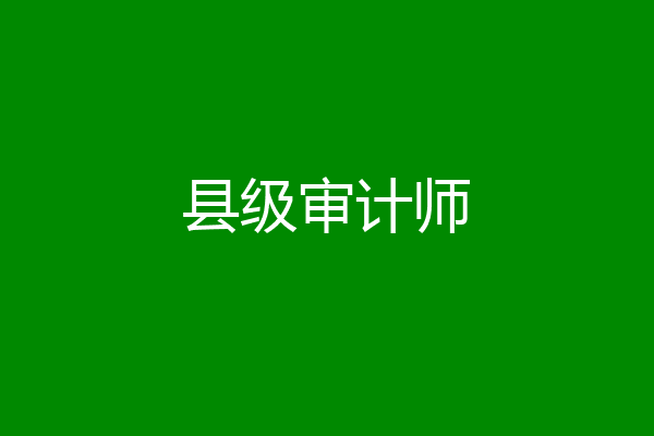 县级审计师