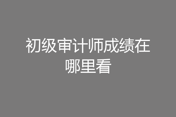 初级审计师成绩在哪里看