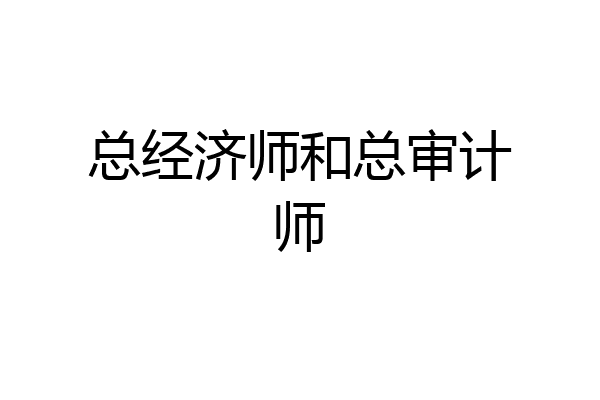 总经济师和总审计师