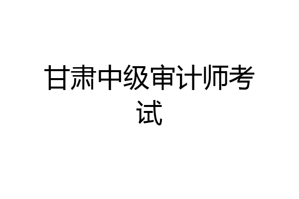 甘肃中级审计师考试