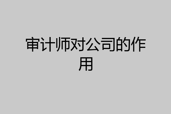 审计师对公司的作用