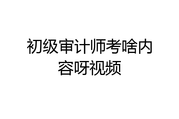 初级审计师考啥内容呀视频