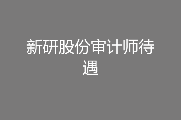 新研股份审计师待遇