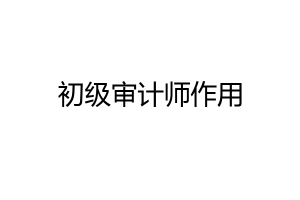 初级审计师作用