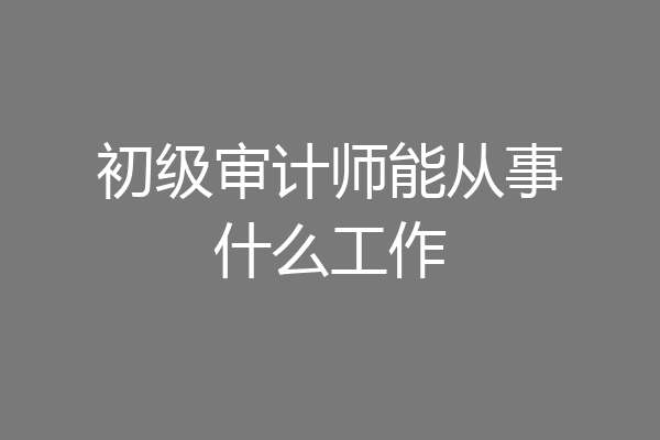 初级审计师能从事什么工作