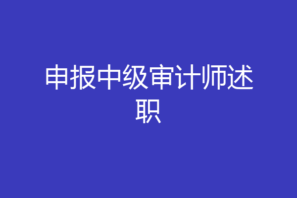 申报中级审计师述职