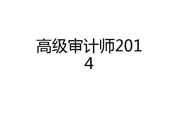 高级审计师2014