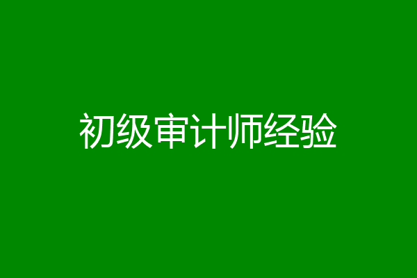 初级审计师经验