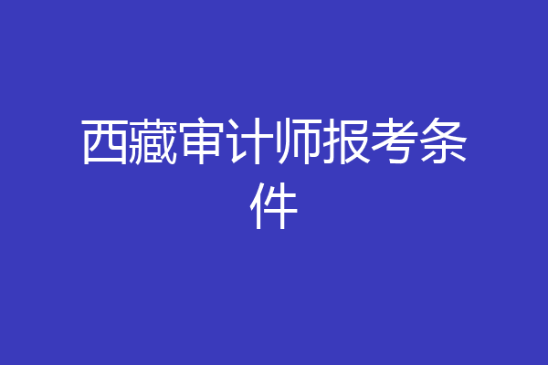西藏审计师报考条件