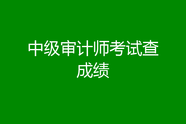 中级审计师考试查成绩
