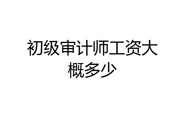 初级审计师工资大概多少