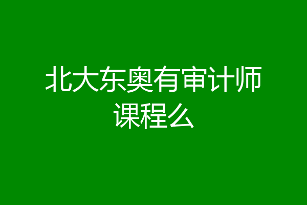 北大东奥有审计师课程么
