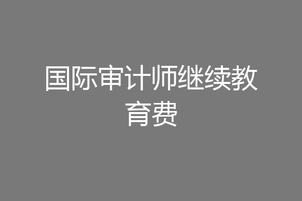 国际审计师继续教育费
