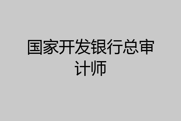 国家开发银行总审计师