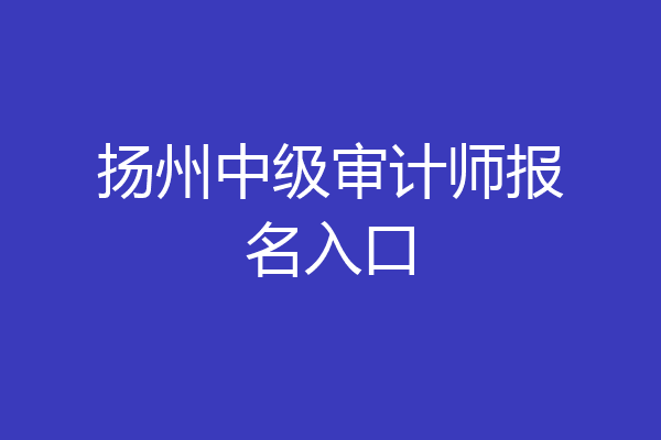 扬州中级审计师报名入口